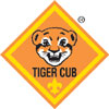 Tiger Cubs!