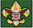 BSA Logo